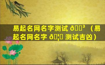 易起名网名字测试 🌳 （易起名网名字 🦍 测试吉凶）